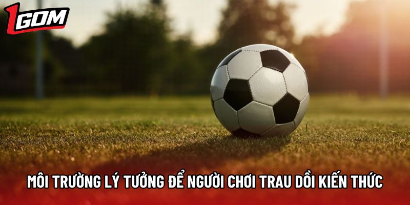 Môi trường lý tưởng để người chơi trau dồi kiến thức Môi trường lý tưởng để người chơi trau dồi kiến thức